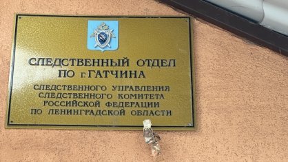 В Гатчинском районе проводится проверка по факту обнаружения костных останков
