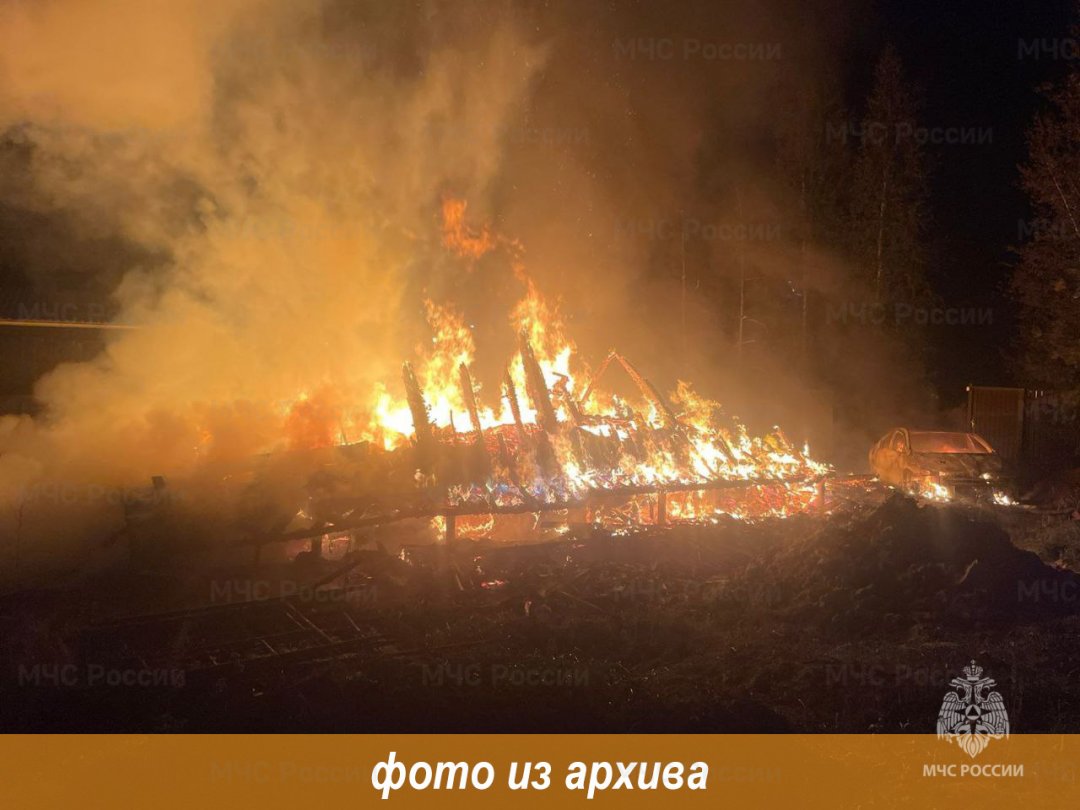 Пожарно-спасательные подразделения Ленинградской области ликвидировали пожар в Гатчинском районе