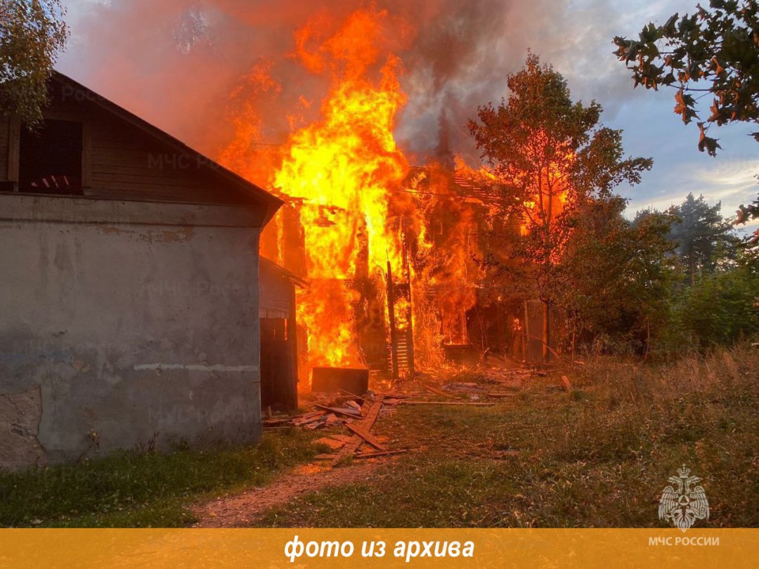 Пожарно-спасательное подразделение Ленинградской области ликвидировало пожар в Гатчинском районе